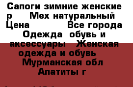 Сапоги зимние женские р.37. Мех натуральный › Цена ­ 7 000 - Все города Одежда, обувь и аксессуары » Женская одежда и обувь   . Мурманская обл.,Апатиты г.